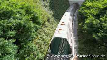 Fledermausschutz und Kostenexplosion: Wann fährt endlich die Calwer Hesse-Bahn?