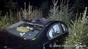 BMW rast bei Schleefeld in Waldstück und knallt gegen Bäume