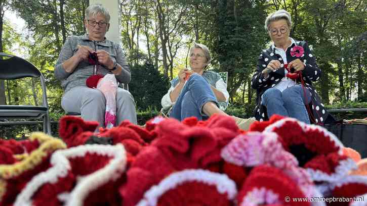 Heel Oosterhout haakt: 1500 klaprozen moeten de brug versieren