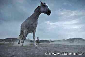 „Der Sturm“:  ARD zeigt Doku eines Detmolder Naturfilmers zur Prime Time