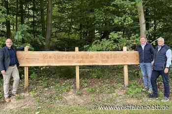 Im Aatal wächst der Naturfreunde-Wald