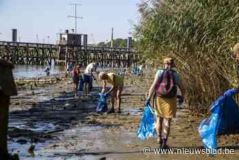IN BEELD. River Cleanup haalt 343 kg afval op aan de oevers van de Schelde