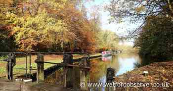 What are the best things about autumn in Watford? Here's what you said