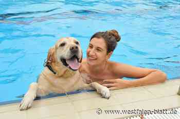 Hundeschwimmen im Freibad Rheda hat kleine Hindernisse