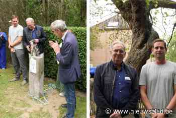 Boom is levend monument voor asbestdoden: “Stille getuige van het leed”