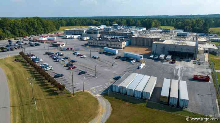 Former Boar's Head sanitation manager recounts where Virginia plant went wrong