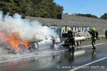 Auto brennt auf der A33 aus – Feuerwehr Hövelhof rückt aus