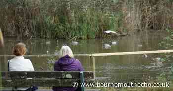 Park pond viewing platform to remain closed until money is found