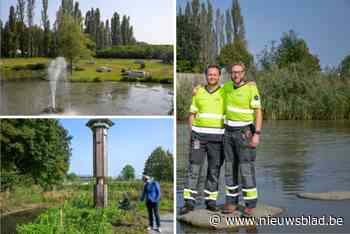 IN BEELD. Het groene geheim van Coca-Cola in Wilrijk