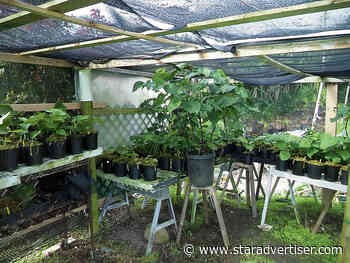 State awards $70K specialty crop grant to nonprofit Malama Sanctuary