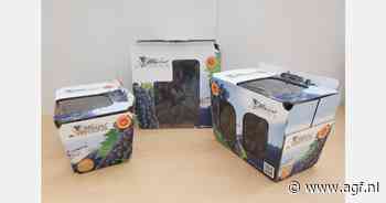 Dalende druivenverkoop in Frankrijk door kartonnen trays