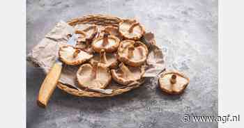 RASFF: Sulfurdioxide in gedroogde shiitake uit China