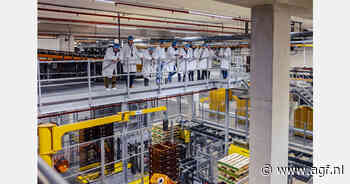 "We zijn in Nederland een beetje de bol.com van het groente en fruit"