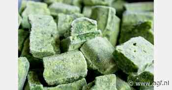 "Blijven diepvriesproducten goed als bewaartemperatuur stijgt naar -15 Celsius?"