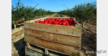 Felrode granaatappelen in het noorden van Spanje