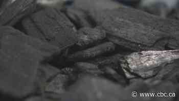 Forever chemicals are everywhere. These burnt wood chips could help change that
