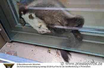 FW-M: Spielplatz schlecht gewählt (Au-Haidhausen)