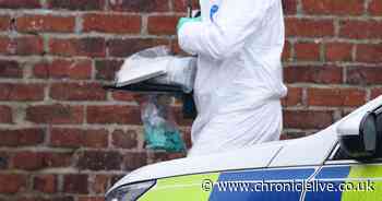 Searches continue at scene of alleged murder as neighbours describe aftermath