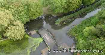 PHOTOS: Flooding at Hornchurch park cuts off bridge