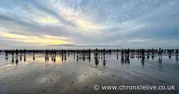 North East Skinny Dip invites swimmers to 'bare' the September chill for charity