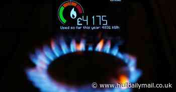 Hull City Council calls on the Government to reconsider 'cruel' winter fuel allowance cut