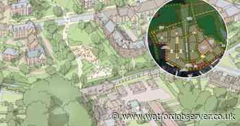 More details released on 600-home scheme near ancient woodland