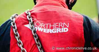 Fallen tree causes power cut for more than 2,300 households in Northumberland