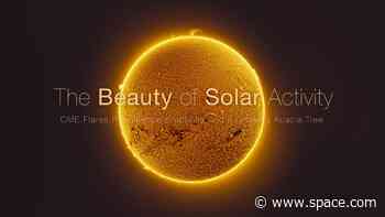 Astrophotographer captures the beauty of solar activity in stunning sun photo