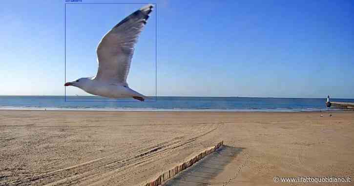 “When they see us”: a Bologna la mostra sui rischi dell’intelligenza artificiale e della sorveglianza di massa