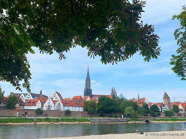 Effiziente Bauprojekte in Ulm: So mietet man den passenden Stapler oder Kran