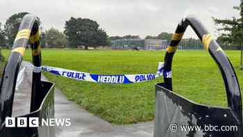 Investigation after serious sexual assault in park