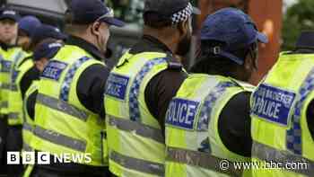 Mum who took baby in pram to riot sentenced