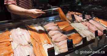 Something’s fishy: 1 in 5 seafood products are mislabelled, study finds