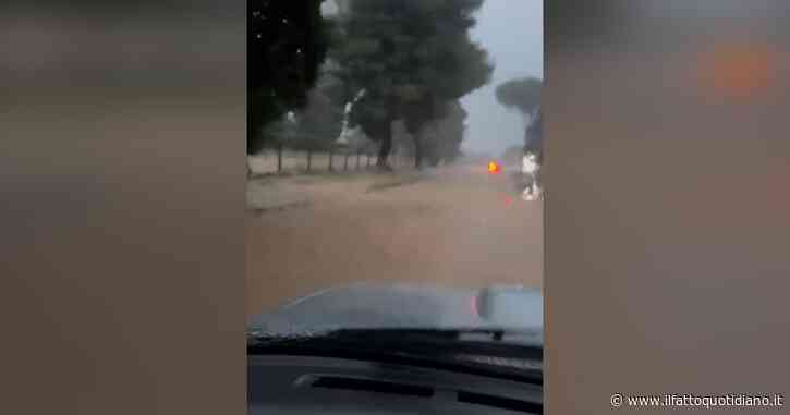 Nubifragio nel Livornese, nella zona dei vini di Bolgheri strade trasformate in fiumi di fango – Video