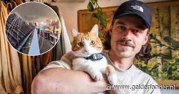 De kat van Kees is wereldberoemd door camera in de halsband