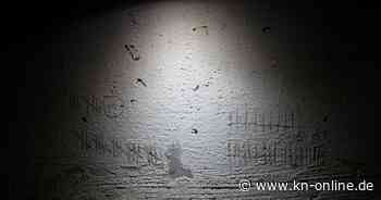 Liveticker zum Krieg in der Ukraine: Aktuelle News und Infos (23.9.2024)