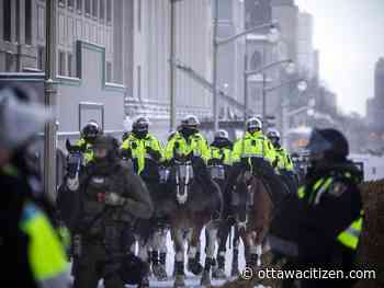 Officers on horseback will be used for crowd control, missing person searches, police chief says