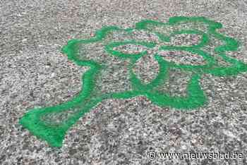 Groen Beringen schildert bomen aan stadhuis als statement:“Slechts 7 gemeenten in Vlaanderen doen slechter”