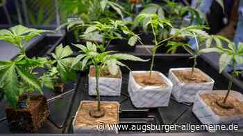 Cannabis-Clubs in Augsburg müssen sich noch gedulden