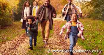 How to make a will without paying a fee - and help a children’s hospice
