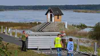 Hochwasser: Oderpegel steigt – höchste Alarmstufe droht