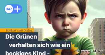 Kindergarten-Zoff via Instagram: Hannover Kommunalpolitik wieder im Streitmodus