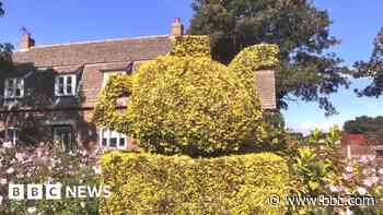 Late villager's topiary teapot remains hot topic