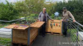 Urban Farming: Pflückfrisch auf den Teller