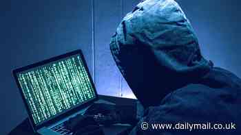 More than 100 MILLION Americans' private information leaked in massive data breach at background check company