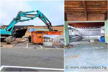 Oud Bloemendalezwembad verdwijnt onder de sloophamer: “Site wordt voorlopig ingezaaid met bloemenrijk grasland”