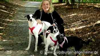Eine Hundewiese für Augsburg: Warum Claudia Bayerl für dieses Projekt kämpft