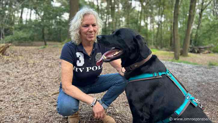 Petra leidt honden op die vermiste honden zoeken: 'Iedereen kan het leren'