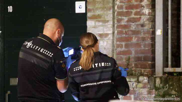 Schoten in Den Bosch: kogels kwamen niet uit vuurwapen