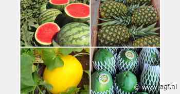 "Verdrievoudiging fruitexport naar Europa en Noord-Amerika"